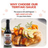 2-8.jpg Teriyaki Soy Sauce Seasoning