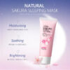 675ac0ed-dd98-4487-958c-22d6a09191e8_800x800.jpg Japan Sakura Sleeping Face Mask